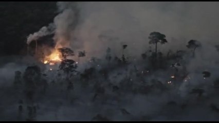 Al via in Brasile il vertice Octa per fermare la deforestazione in Amazzonia