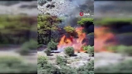 Milas yangınının ilk çıktığı anlar kamerada