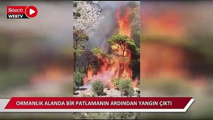 Ormanlık alanda çıkan yangının başlangıç görüntülerine SÖZCÜ ulaştı