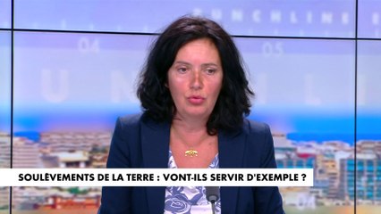 Irène Tolleret : «On ne peut pas détruire le bien d'autrui comme ça dans un Etat de droit»