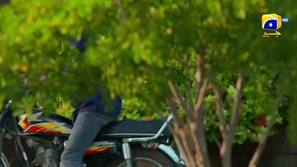 Jinzada Episode 18 - [Eng Sub] - Syed Jibran - Nazish Jahangir - Saad Qureshi - 8th August 2023