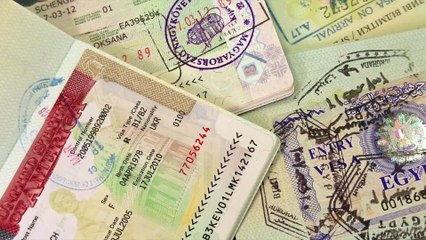 Brexit regret: What is dual citizenship and who is eligible?