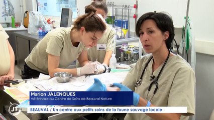 BEAUVAL / Un centre aux petits soins de la faune sauvage locale