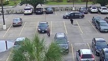 Suspect throws elderly victim to ground before robbing money bag in Houston car park