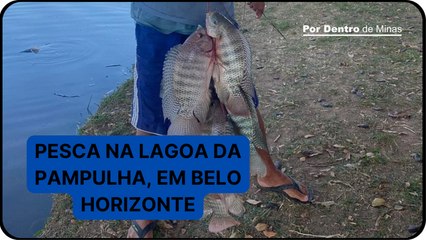 Mesmo proibida por lei, pesca na Lagoa da Pampulha é flagrada na orla
