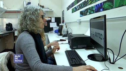 Lanzan una encuesta sobre el tratamiento de desechos  textiles