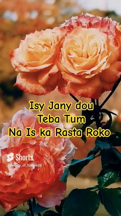 #Beautiful Naat#Beautiful Nature#Beautiful World#Shorts#Shorts with lyrics#Youtube# (4)