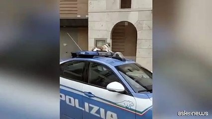 ? la Festa del gatto, un giro sulla volante per la mascotte Romina