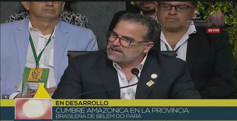 Gustavo Manrique: La Amazonía es un escudo natural contra el Cambio Climático