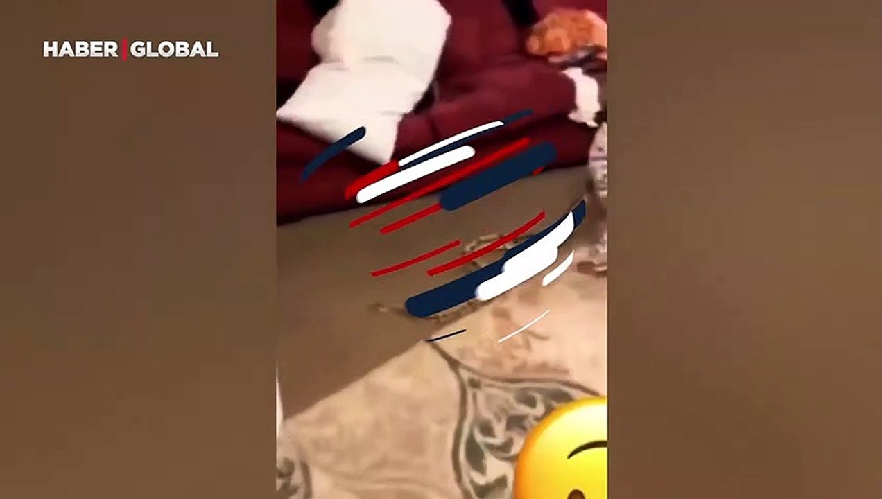 Küçük çocuk bulduğu yılanı eve getirince annesi sinir krizi geçirdi