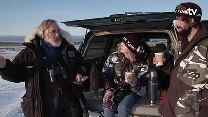 Il sympathise avec un ours blanc - ZAPPING SAUVAGE