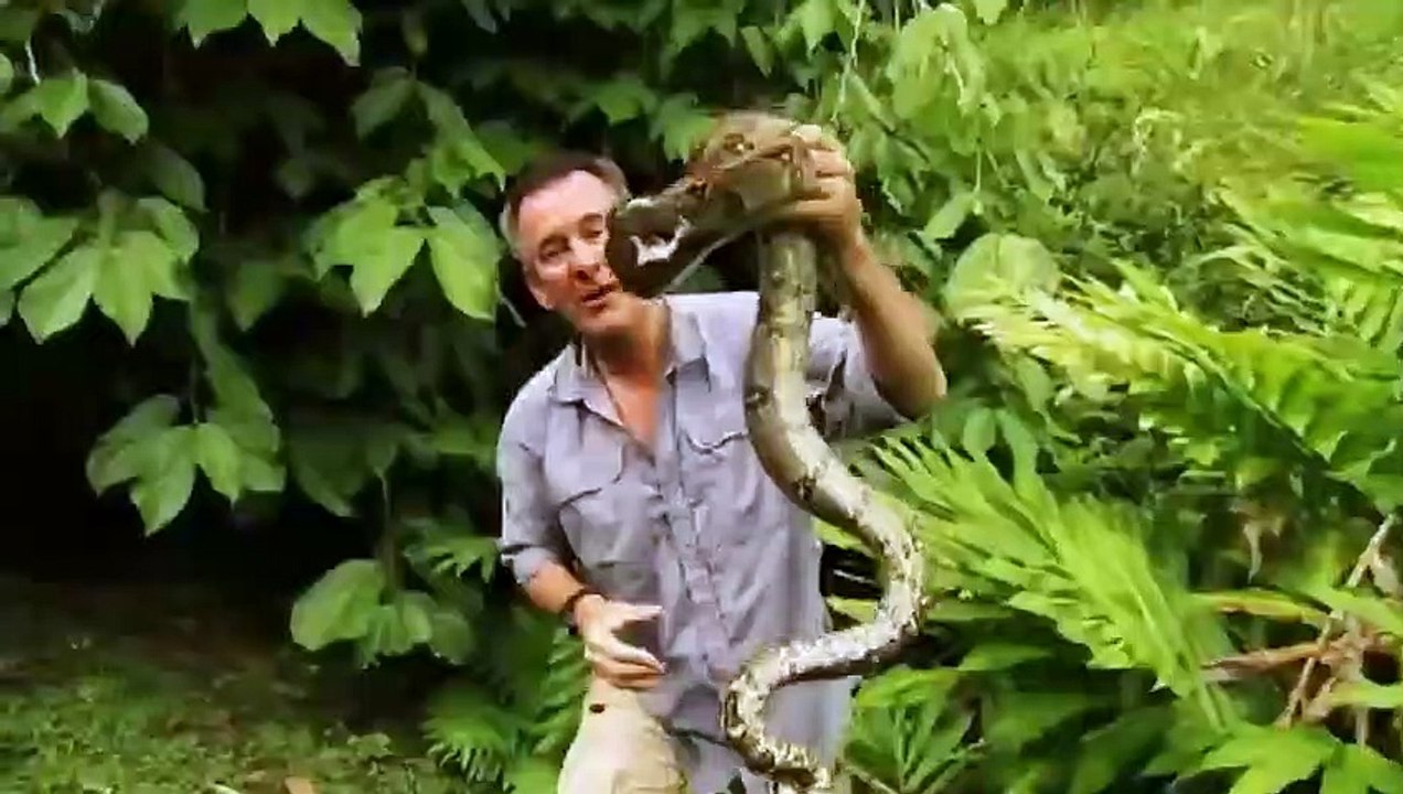 Serpent contre journaliste ! - ZAPPING SAUVAGE 22 (2)