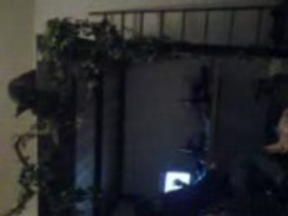 Cassie aka käsebeat springt3