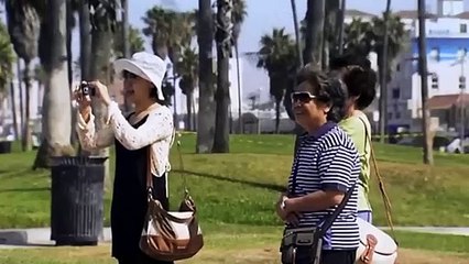 Qui était Tillman, le chien skateur  - ZAPPING SAUVAGE 30