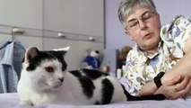 Un chat sauve la vie de ses maîtres - ZAPPING SAUVAGE 24