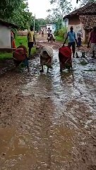 Video Story : ग्रामीण नाराज, सड़क नहीं बनी तो दलदल में लगा दिया धान का रोपा, देखें वीडियो