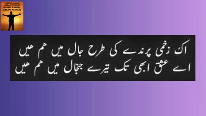 Ek Zakhmi Parendy Ki Tarha Jaal Main Hum Hain | poetry