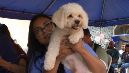 Familias rivenses participan en el primer día de la jornada antirrábica canina 2023