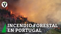 Un incendio forestal en el sur de Portugal deja 1.400 evacuados