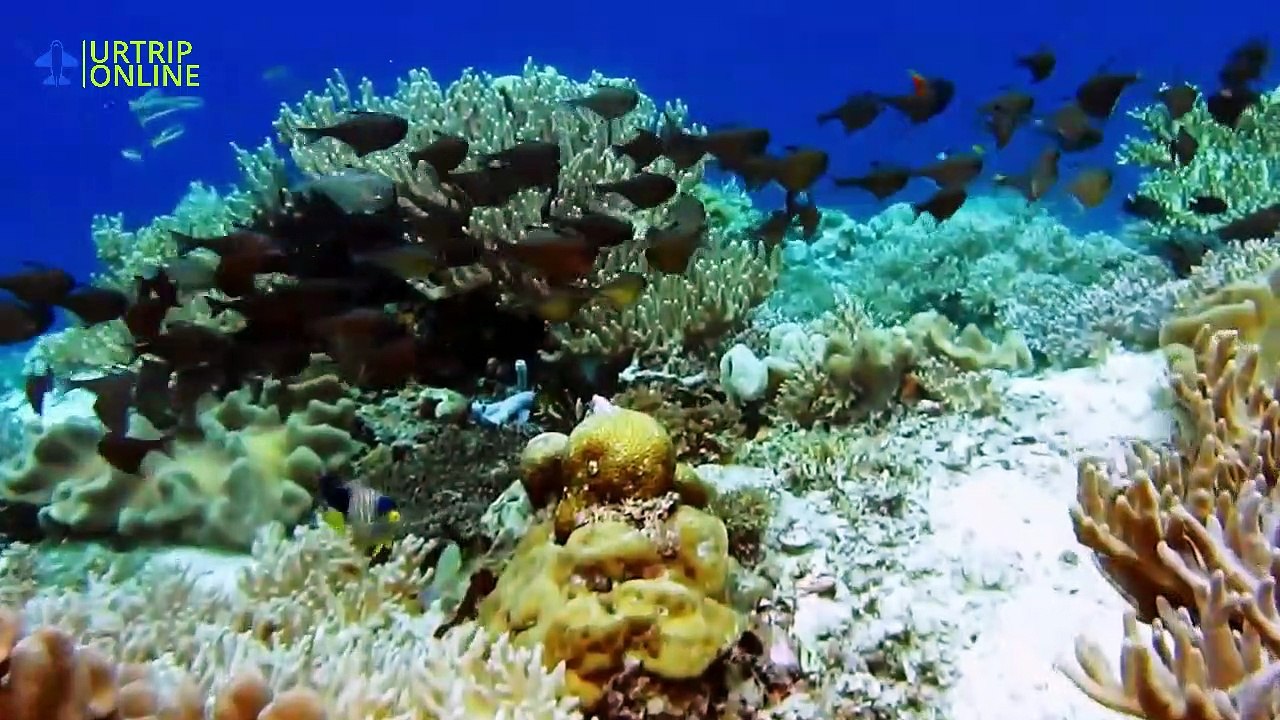 Natural Wonders of the Planet | The Most Fascinating Places on All Continents