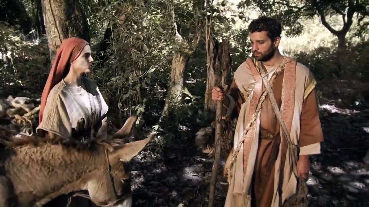 14. Los Milagros de Jesus