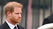 Royal Family Removes Prince Harry's 'His Royal Highness' Title References from Website