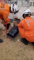 Bombeiros resgatam gato após ficar preso entre dos muros na Bahia