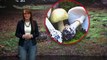 Mushroom foragers warned of the risks amid poisoning incident