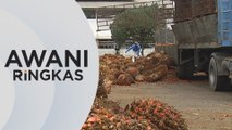 AWANI Ringkas: Kutipan cukai minyak sawit Sabah RM6.22 bilion