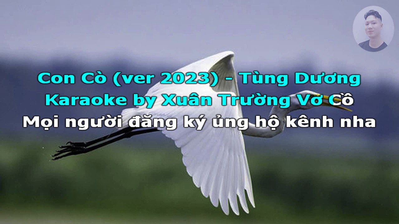 Karaoke Con Cò - ver 2023 | Tùng_Dương