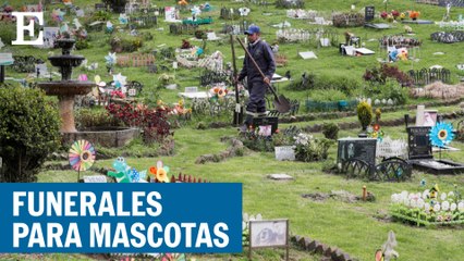 COLOMBIA | Servicios funerarios para mascotas