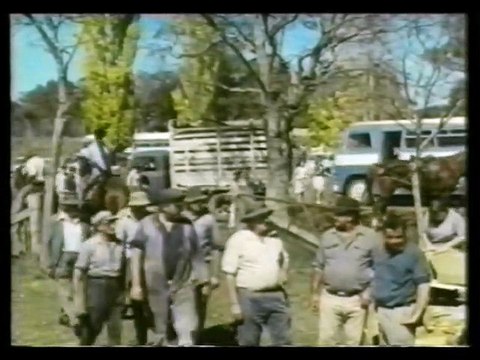 LITTLE BOY LOST (1978) 1h 32m. Director: Terry Bourke. Cast: John Hargreaves, Lorna Lesley, Tony Barry, James Elliott, Nathan Dawes, John Jarratt, Les Foxcroft, Robert Quilter, Don Crosby, John Nash, Brian Anderson, Redmond Phillips, Bernadette Hughson.