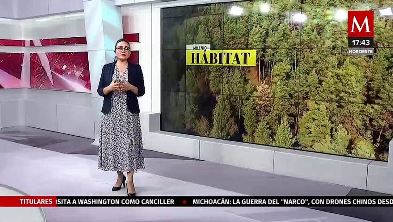 Expertos promueven la agricultura de conservación para producir más con menos | Milenio Hábitat