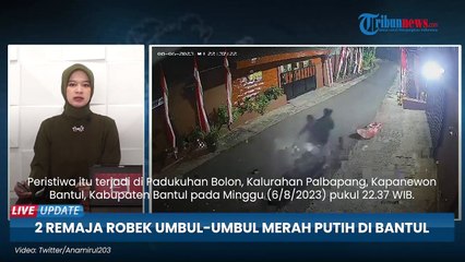 Robek Umbul-umbul Merah Putih Milik Warga, 2 Remaja di Bantul Disidang Polisi, Ngaku Cuma Iseng