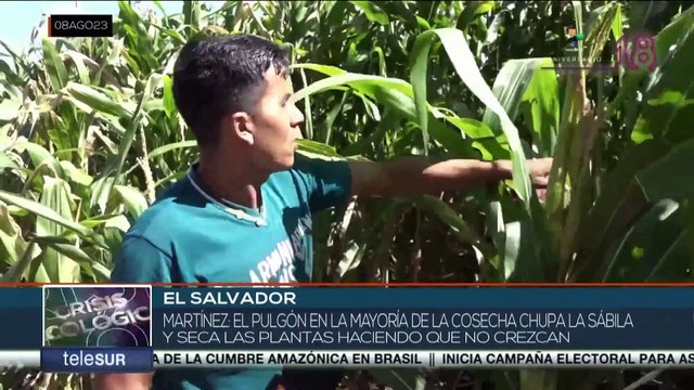En El Salvador la producción agrícola ha sufrido los embates del cambio climático