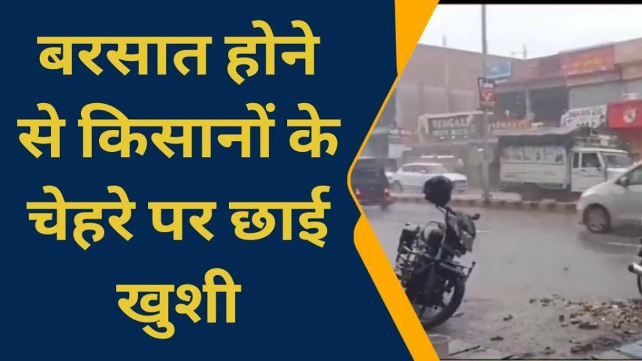 सिद्धार्थनगर: बारिश से धान की फसल में आई जान, मॉनसून की देरी से किसानों को हुआ नुकसान