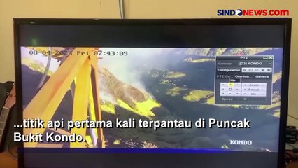 Puluhan Hektare Hutan di Taman Nasional Gunung Rinjani Terbakar, Ini Asal Titik Api