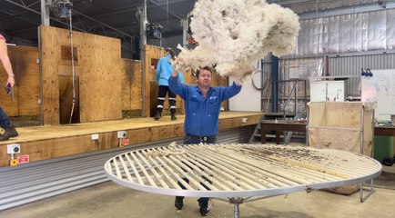 Shearing shed the perfect classroom for local high school students