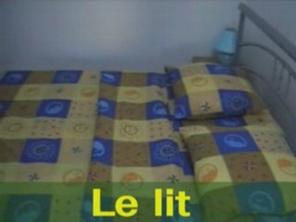 La video du studio bananier lotus