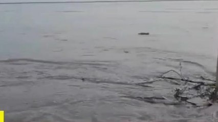 ब्रेकिंग: नेपाल में हो रही भारी बारिश के कारण पूर्वी चंपारण में सताने लगा बाढ़ का खतरा