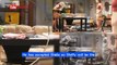 B&B 8-8-2023 __ CBS The Bold and the Beautiful Spoilers Tuesday, August 8