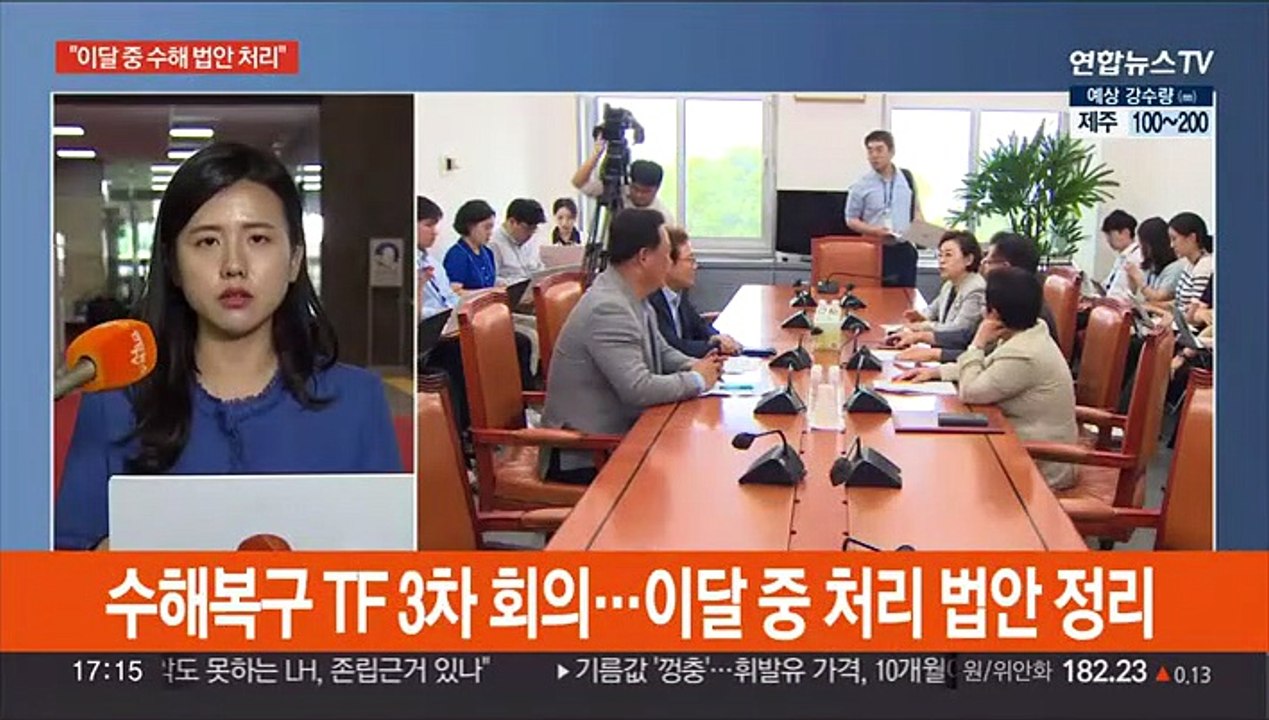 여야, 수해입법 논의 속도…18일 처리 법안 확정