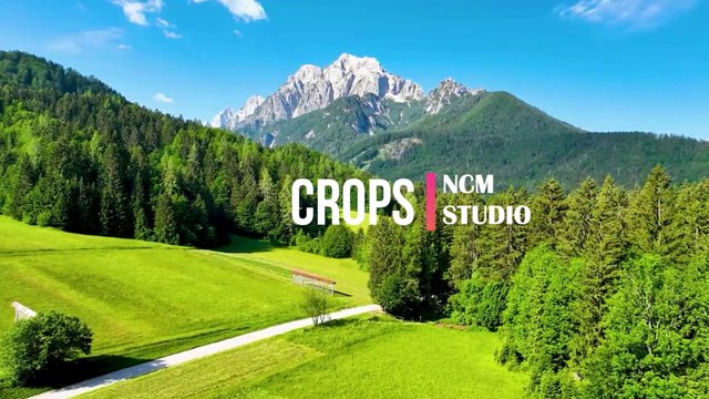 Crops - Telecasted Rock Music, Inspirational Music, Hope Music, Chill Music