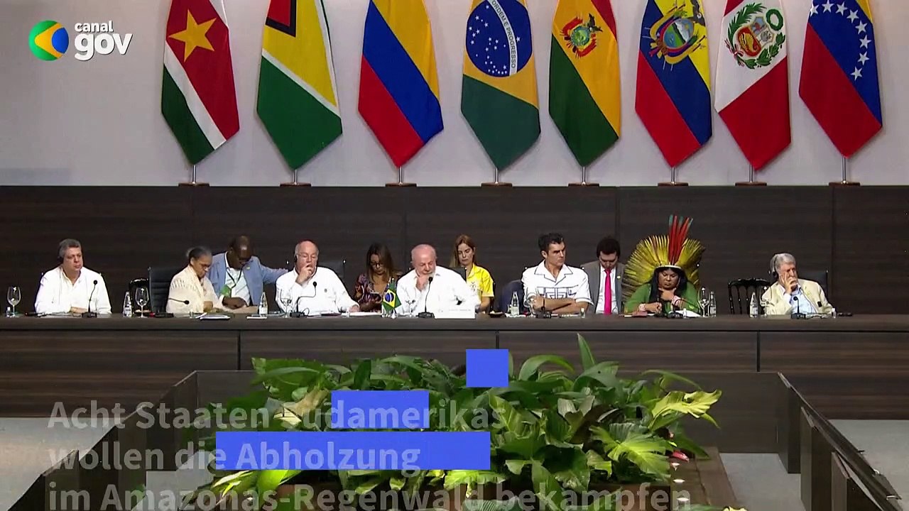 Amazonas-Staaten gründen Allianz zur Bekämpfung der Abholzung
