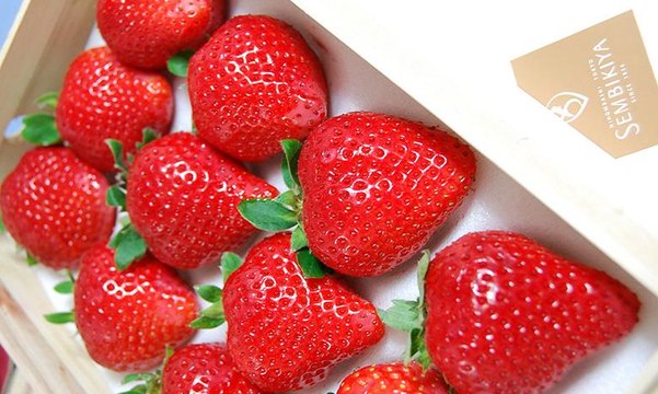 بيع فراولة يابانية بنكهة الورود مقابل 350 دولار للقطعة الواحدة