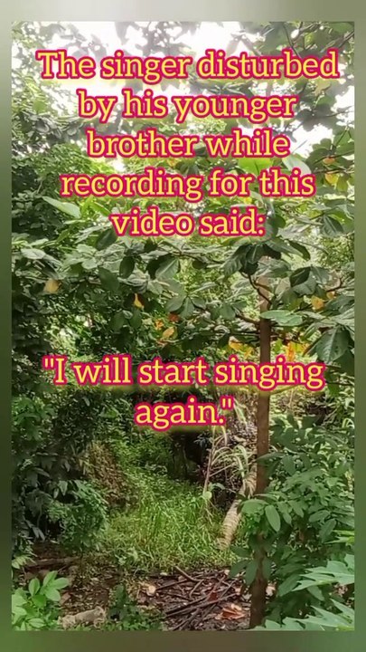 LOVE What a Beautiful Name It Is Sang as  Background of this Video by a 10 year old Boy