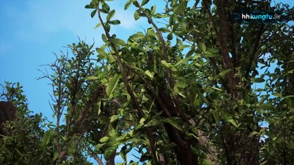 Chu Phen Theng Nhau Khac Truc Hieu Thap Canh Azke