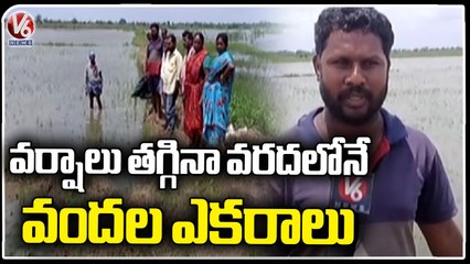 Agriculture Fields Still Waterlogged At Nizamabad | V6 News
