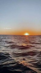 "Le bonheur" tout simplement, selon la chanteuse Fanny Leeb