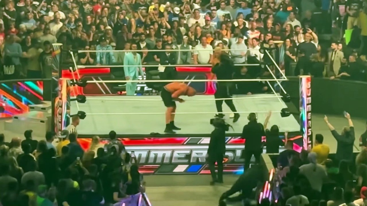 Brock Lesnar breaks character during WWE Summerslam!